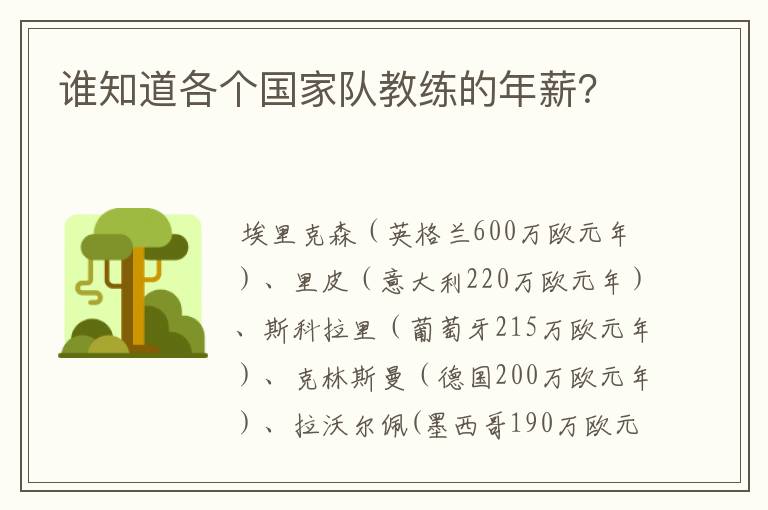 谁知道各个国家队教练的年薪？