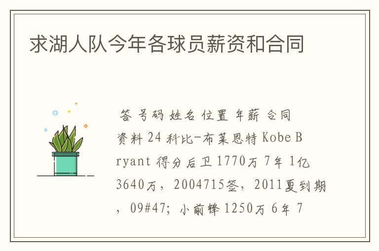 求湖人队今年各球员薪资和合同