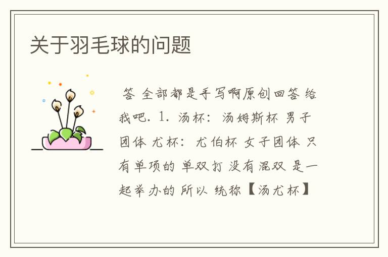 关于羽毛球的问题