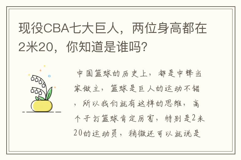 现役CBA七大巨人,两位身高都在2米20,你知道是谁吗?