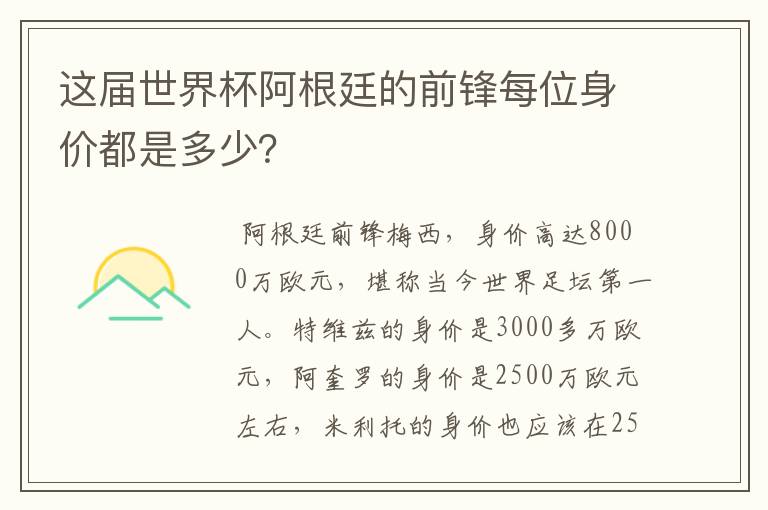 这届世界杯阿根廷的前锋每位身价都是多少?