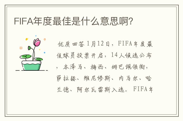 FIFA年度最佳是什么意思啊？