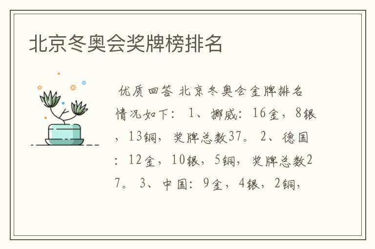 北京冬奥会奖牌榜排名