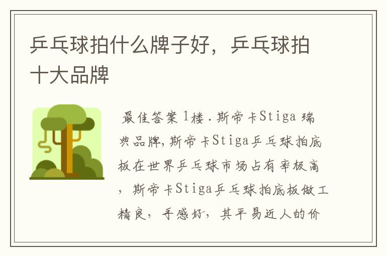 乒乓球拍什么牌子好,乒乓球拍十大品牌