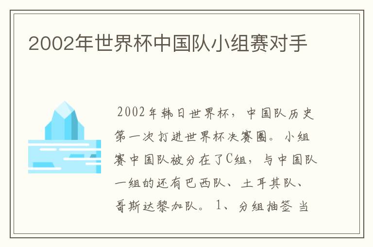 2002年世界杯中国队小组赛对手
