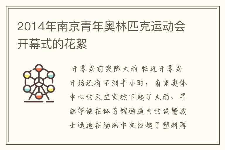 2014年南京青年奥林匹克运动会开幕式的花絮