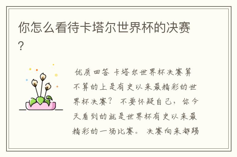 你怎么看待卡塔尔世界杯的决赛?
