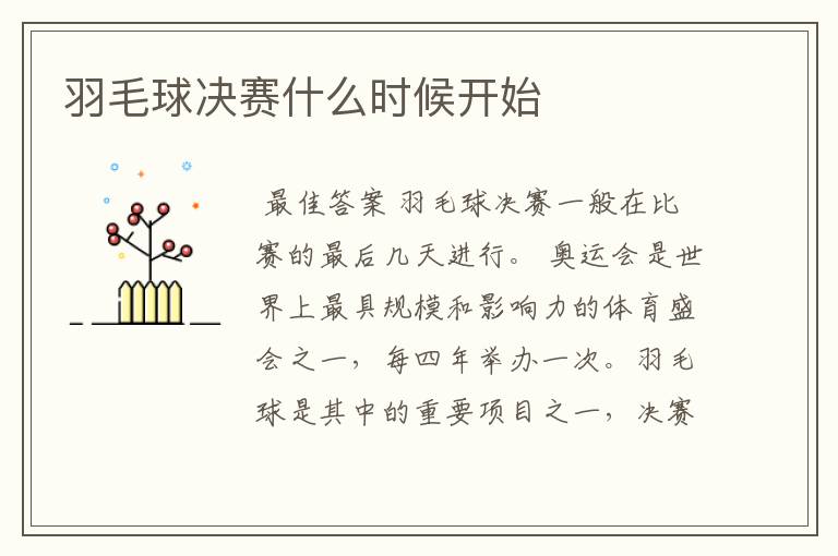 羽毛球决赛什么时候开始