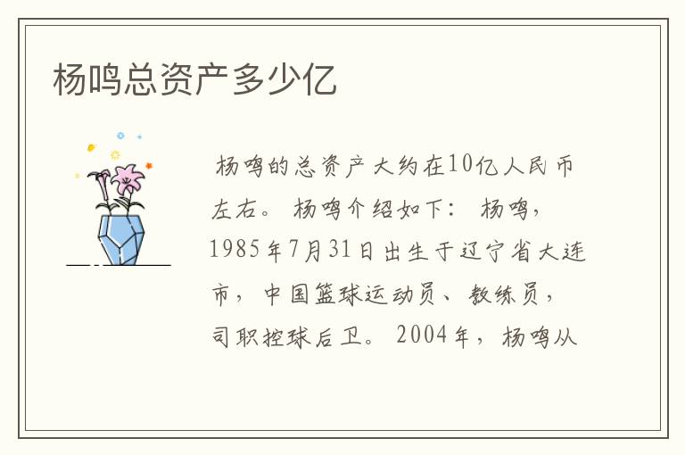 杨鸣总资产多少亿