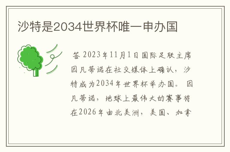 沙特是2034世界杯唯一申办国