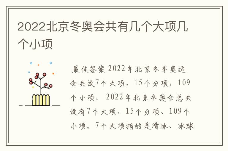 2022北京冬奥会共有几个大项几个小项