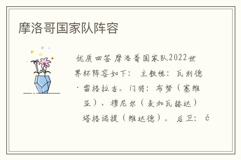 摩洛哥国家队阵容