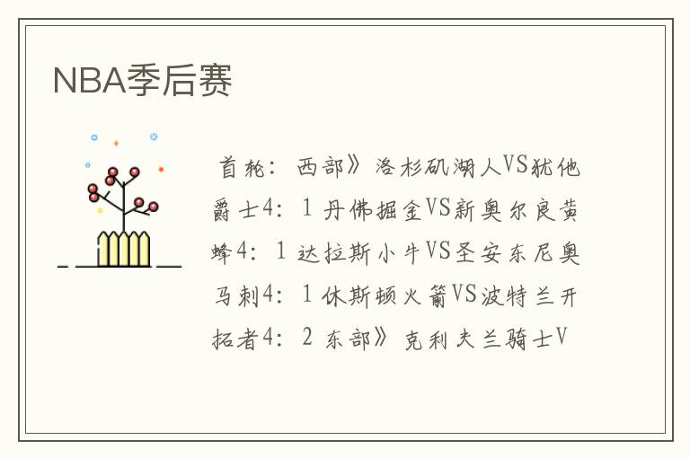 NBA季后赛