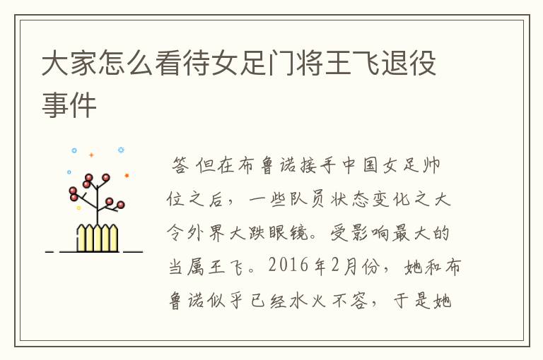 大家怎么看待女足门将王飞退役事件
