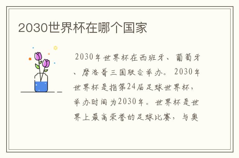 2030世界杯在哪个国家