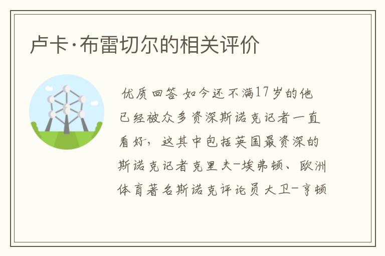 卢卡·布雷切尔的相关评价
