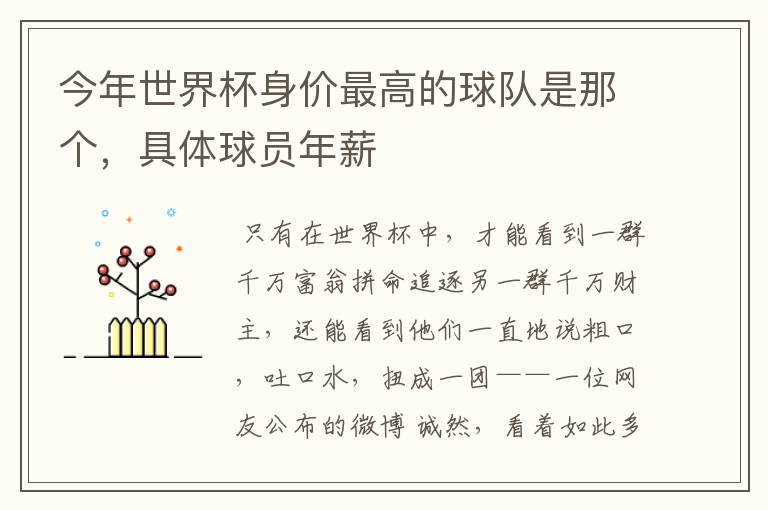 今年世界杯身价最高的球队是那个,具体球员年薪