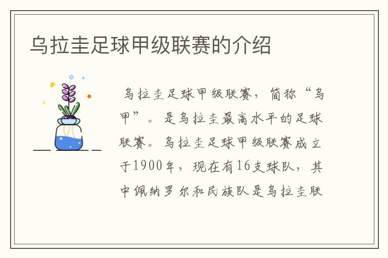 乌拉圭足球甲级联赛的介绍