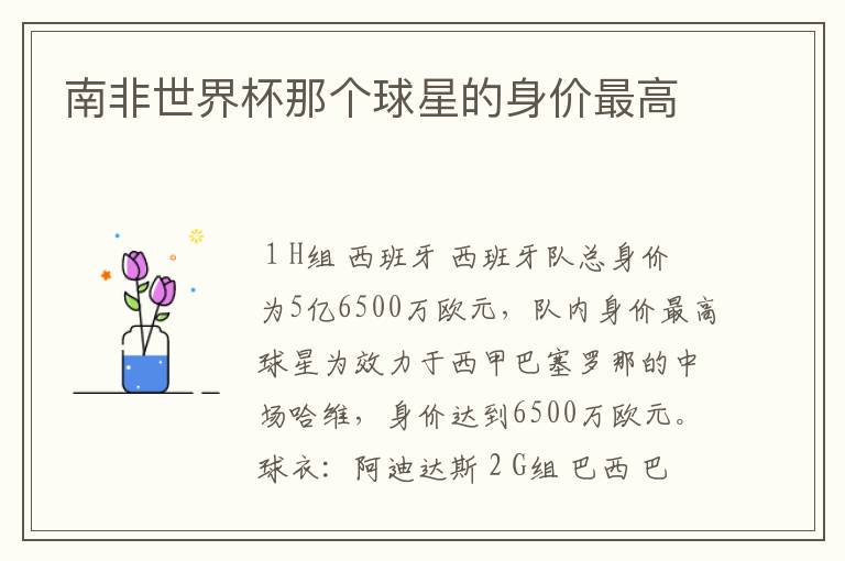 南非世界杯那个球星的身价最高