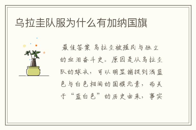 乌拉圭队服为什么有加纳国旗