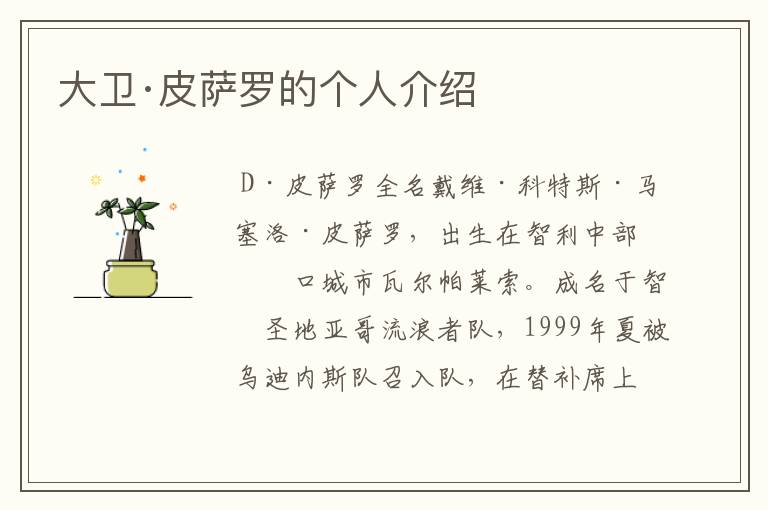 大卫·皮萨罗的个人介绍