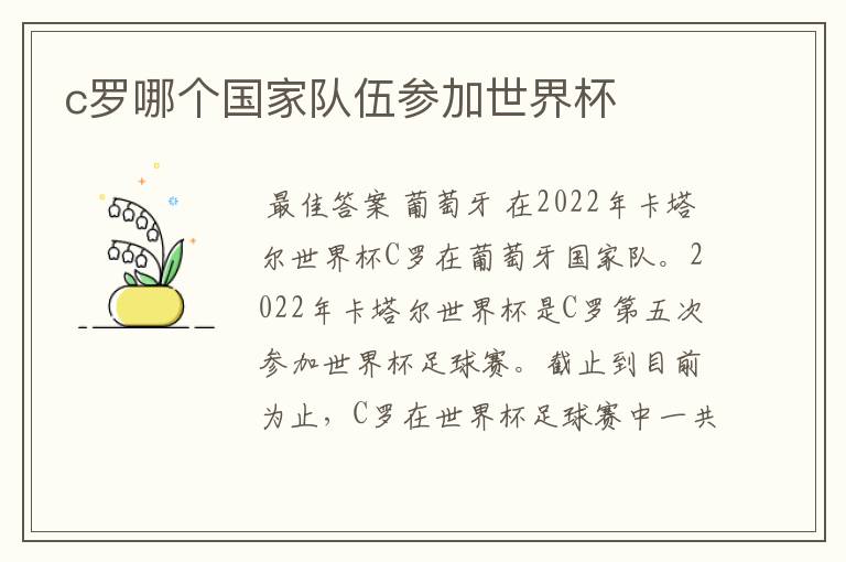 c罗哪个国家队伍参加世界杯