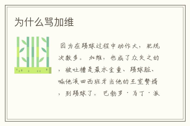 为什么骂加维