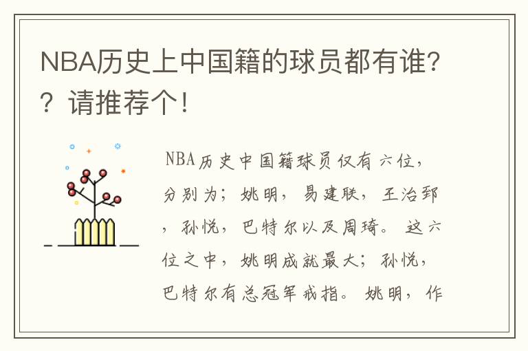 NBA历史上中国籍的球员都有谁??请推荐个!