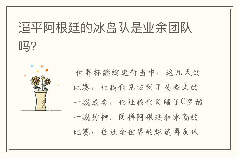 逼平阿根廷的冰岛队是业余团队吗?