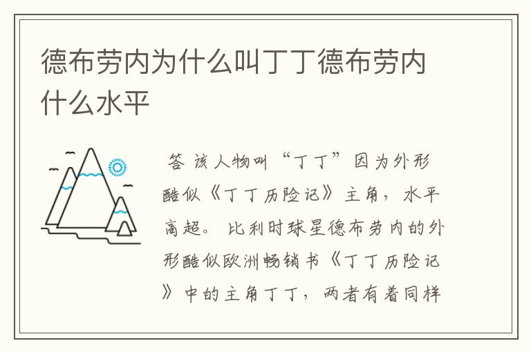德布劳内为什么叫丁丁德布劳内什么水平