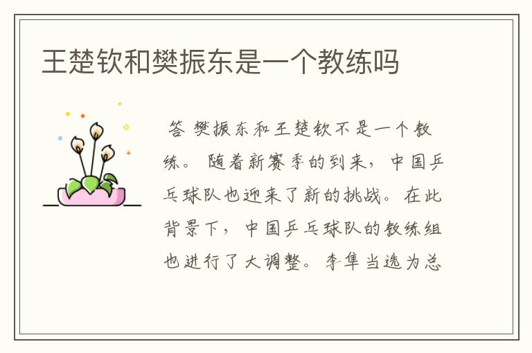 王楚钦和樊振东是一个教练吗