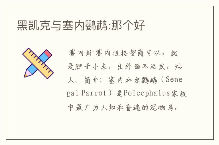 黑凯克与塞内鹦鹉:那个好