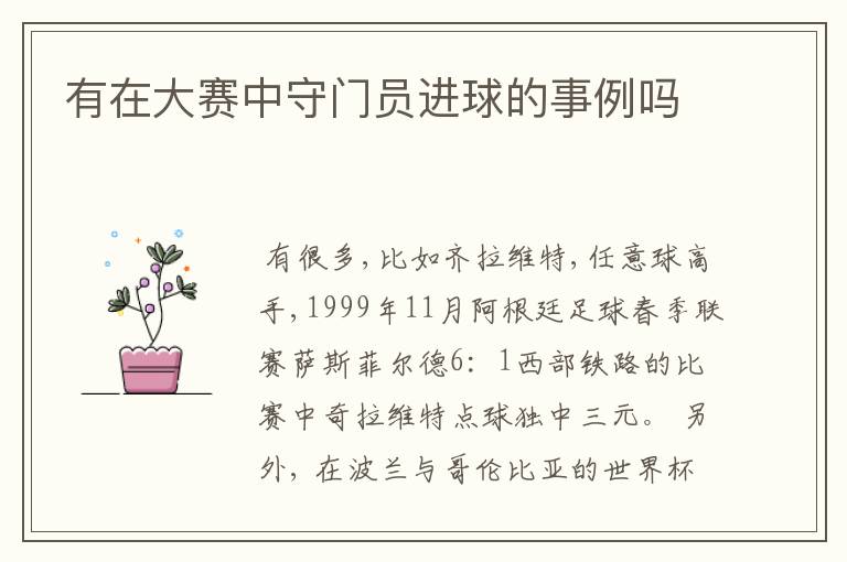 有在大赛中守门员进球的事例吗