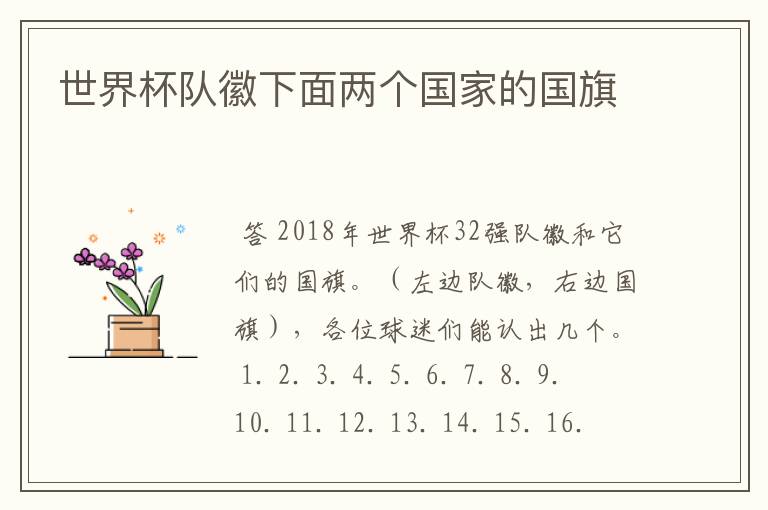 世界杯队徽下面两个国家的国旗