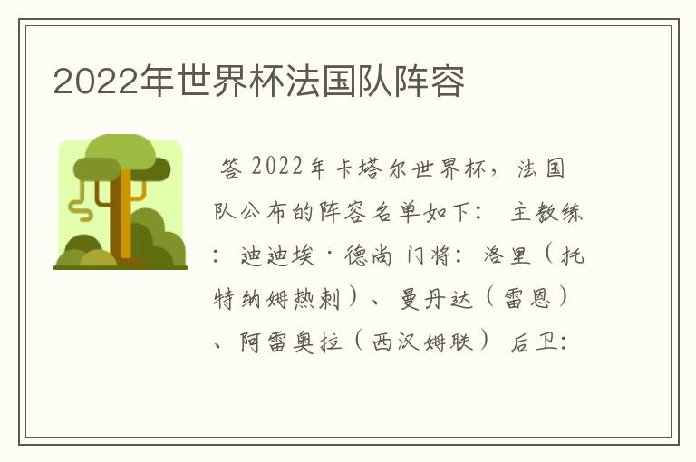 2022年世界杯法国队阵容