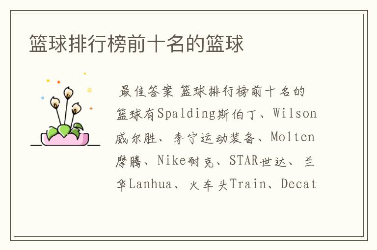 篮球排行榜前十名的篮球