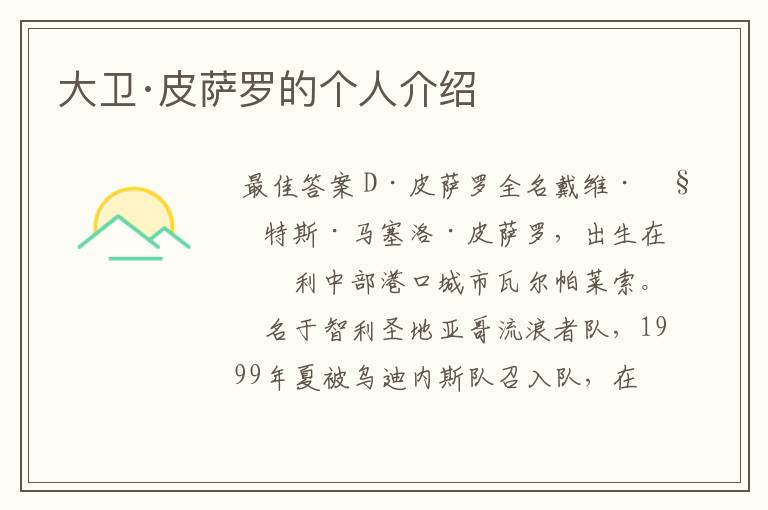 大卫·皮萨罗的个人介绍