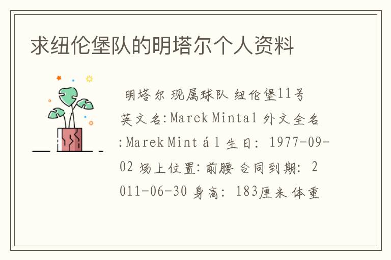 求纽伦堡队的明塔尔个人资料