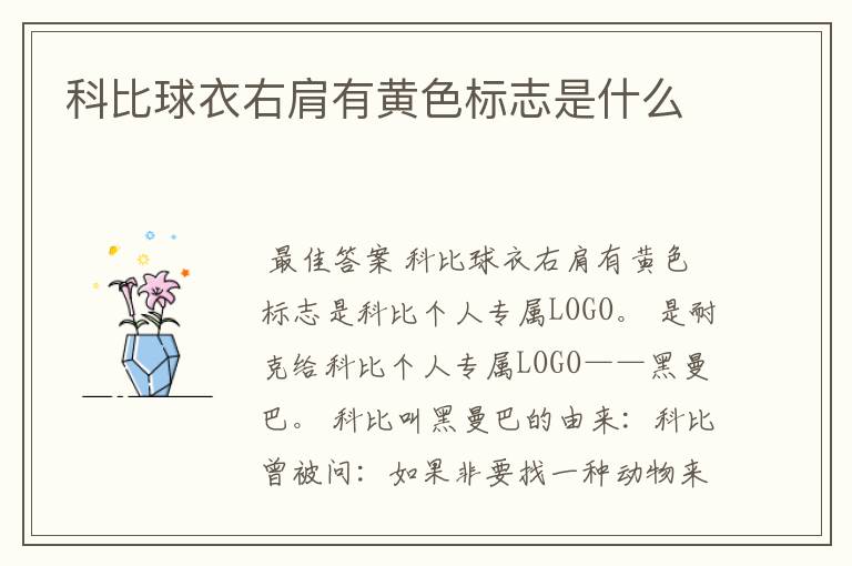 科比球衣右肩有黄色标志是什么