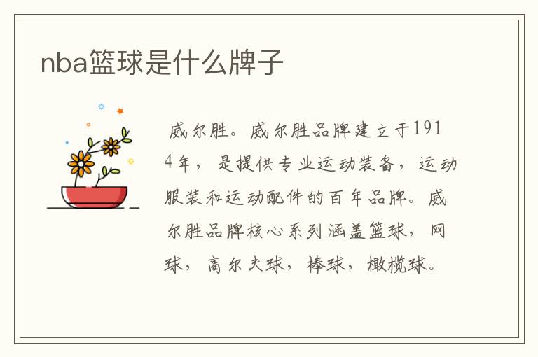 nba篮球是什么牌子