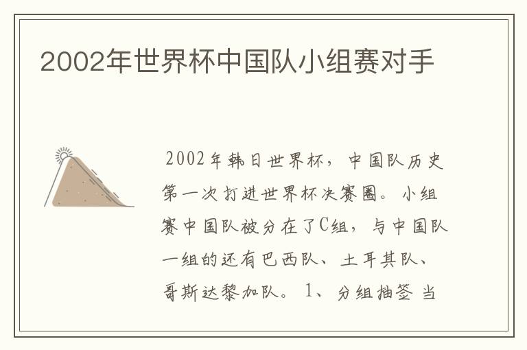 2002年世界杯中国队小组赛对手