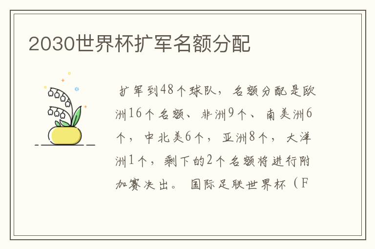 2030世界杯扩军名额分配