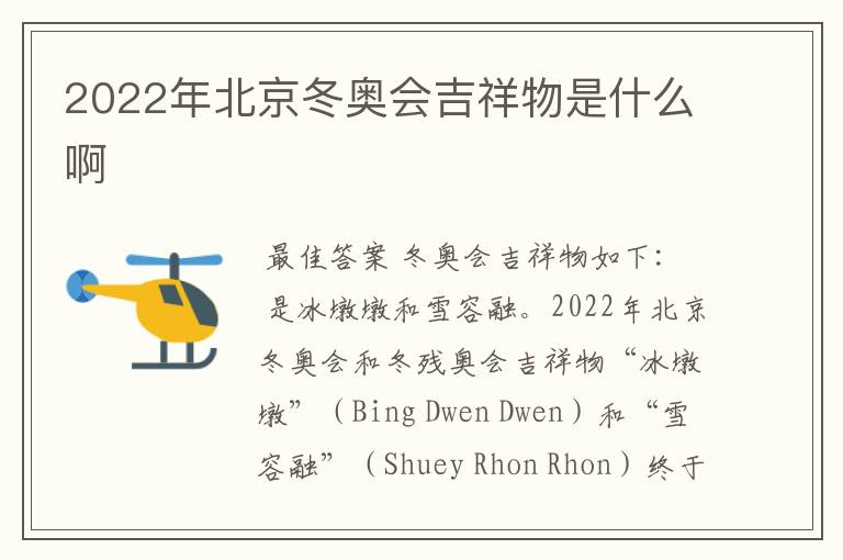 2022年北京冬奥会吉祥物是什么啊