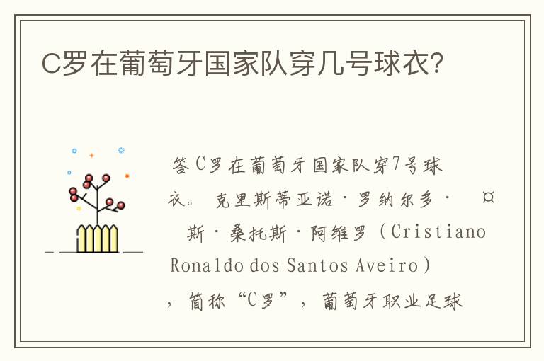 C罗在葡萄牙国家队穿几号球衣?