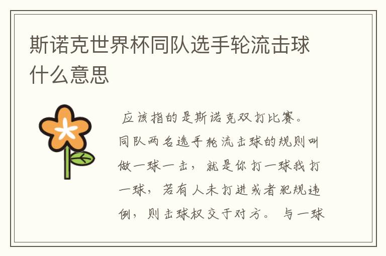 斯诺克世界杯同队选手轮流击球什么意思