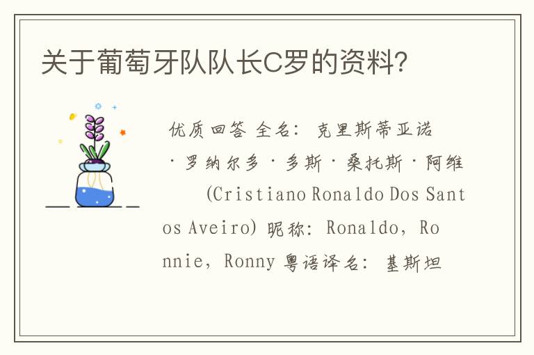 关于葡萄牙队队长C罗的资料？