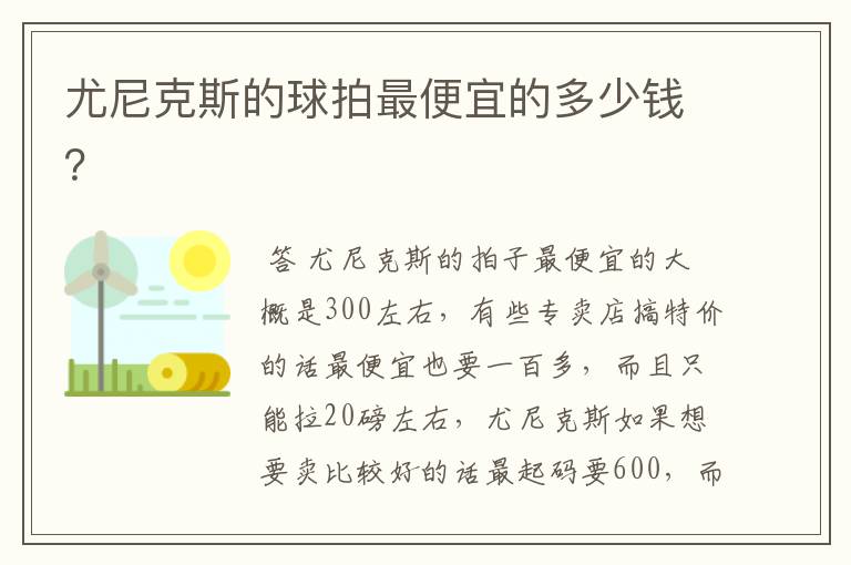 尤尼克斯的球拍最便宜的多少钱?