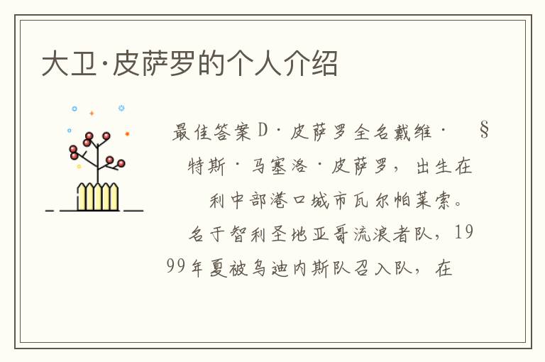 大卫·皮萨罗的个人介绍