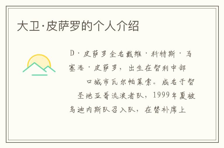 大卫·皮萨罗的个人介绍