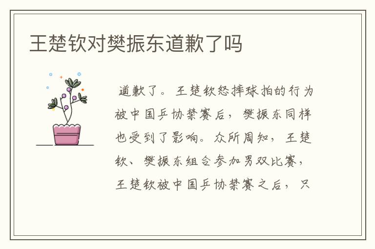 王楚钦对樊振东道歉了吗
